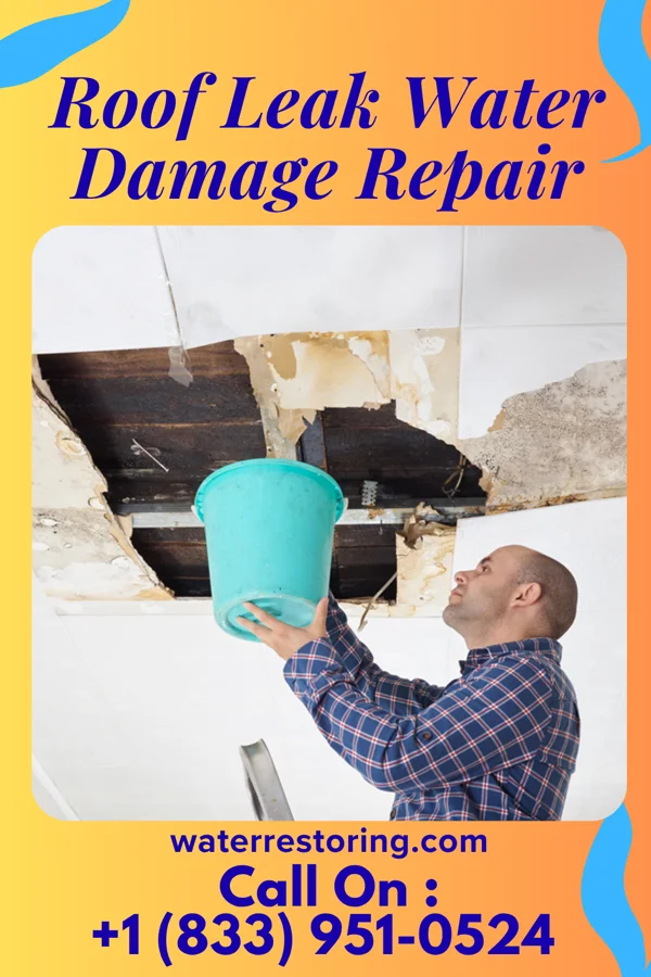 Roof Leak Water Damage Repair in Brewster, KS
