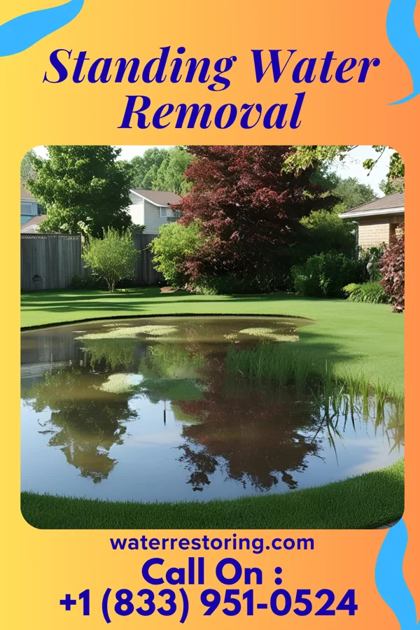 Standing Water Removal in Brewster, KS